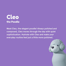 Carica l'immagine nel visualizzatore di Gallery, Bottiglia termica 460 ml "Cleo The Poodle" Bestie by Asobu