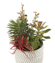 Carica l'immagine nel visualizzatore di Gallery, Composizione piante grasse artificiali "L'oca Nera"