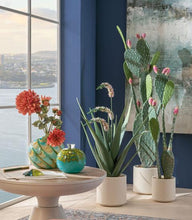 Carica l'immagine nel visualizzatore di Gallery, Sfera decorativa "Nettuno" L'oca Nera