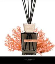 Carica l'immagine nel visualizzatore di Gallery, Diffusore "Citrus Coral" Locherber