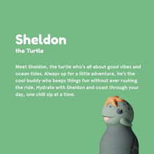 Carica l'immagine nel visualizzatore di Gallery, Bottiglia termica 460 ml "Sheldon the Turtle" Bestie by Asobu

