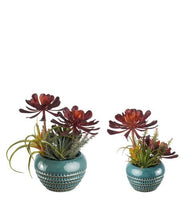Carica l'immagine nel visualizzatore di Gallery, Composizione piante grasse artificiali - vaso verde "L'oca Nera"
