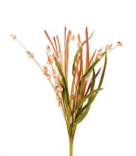 Carica l'immagine nel visualizzatore di Gallery, Erba cipollina rosa "L'oca Nera"
