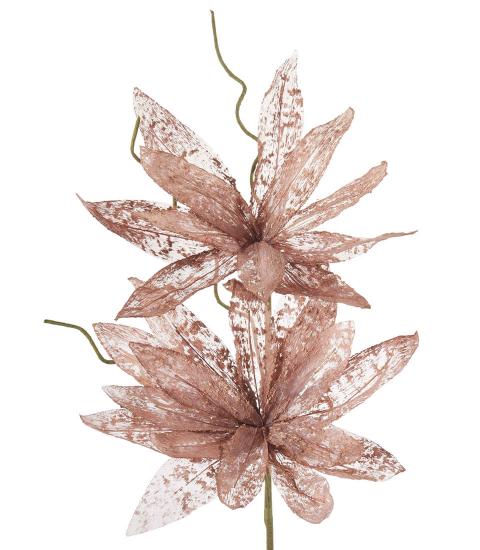 Magnolia Purpurea Bronzo 
